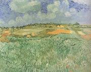 Vincent Van Gogh Plain near Auvers (nn04) Germany oil painting reproduction